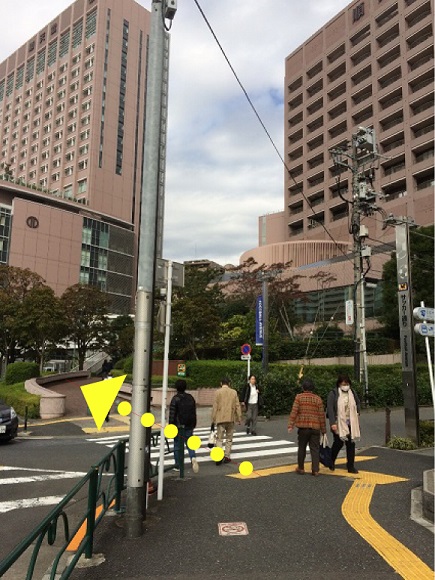JR中央線 御茶ノ水駅から中村かえる整体院までの道のり